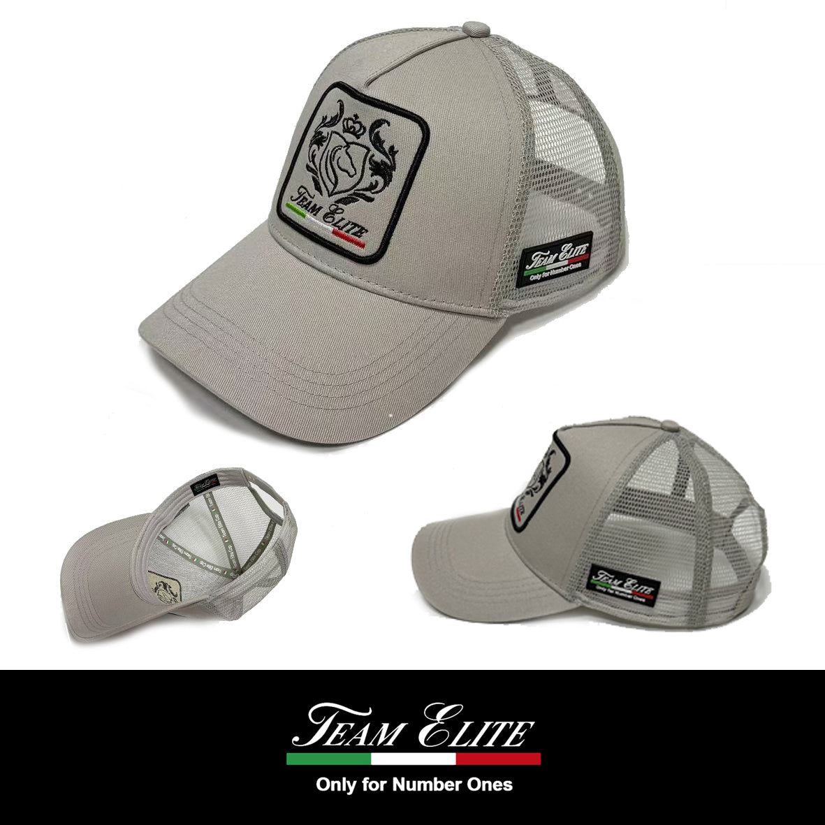 Cappello Baseball Team Elite Premium Grigio