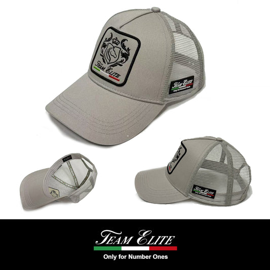 Cappello Baseball Team Elite Premium Grigio